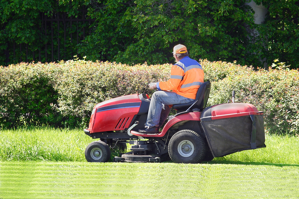 cutting-grass